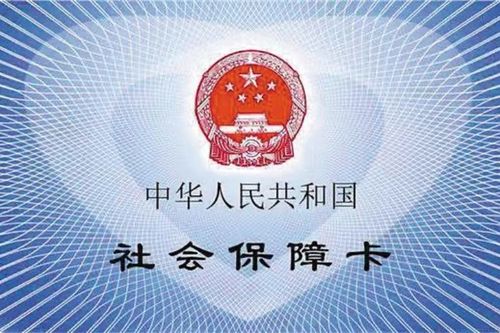 广东省社保局，保障民生的坚实后盾