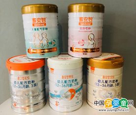 守护宝贝的第一口粮，奶粉质量检测的奥秘