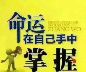 重启人生，失业再就业的挑战与机遇