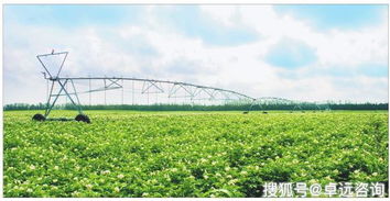 免税农产品，促进农业发展与经济繁荣的绿色引擎