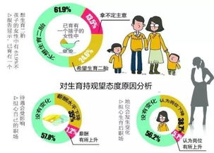 上海二胎政策，家庭规划的新篇章与社会影响