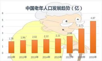 上海二胎政策，家庭规划的新篇章与社会影响