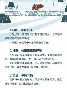 安全驾驶的守护神，交通事故应急预案全解析