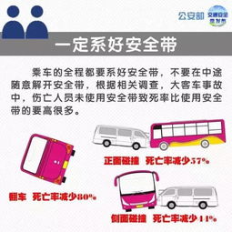 安全驾驶的守护神，交通事故应急预案全解析