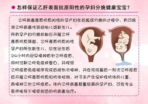 乙肝病毒携带者就业，挑战、权益与社会支持