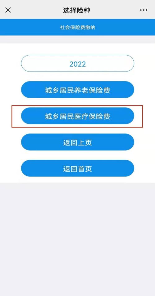 退个人所得税流程，简化步骤与实用指南