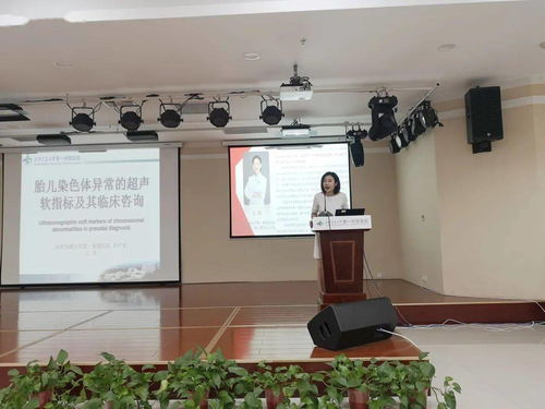 守护健康之门，河北省卫生厅的使命与行动