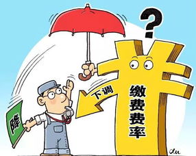 未来保障，解读新出台的养老保险政策及其对个人和社会的影响