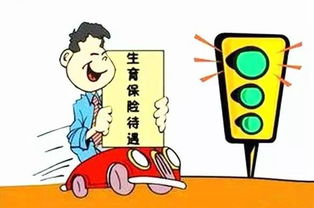 生育保险条例，保障生育权利，促进家庭和谐