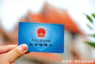 抚松县社保，守护您未来的坚实盾牌