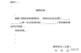办理出生证明，详细指南与实用建议