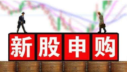 怎样申购新股，掌握申购技巧，把握投资机遇