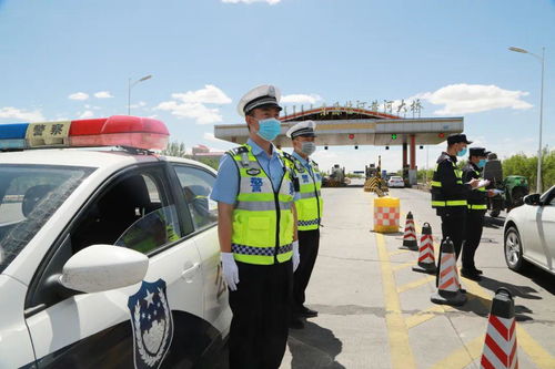 巴彦淖尔市交警支队网，守护交通平安的数字先锋