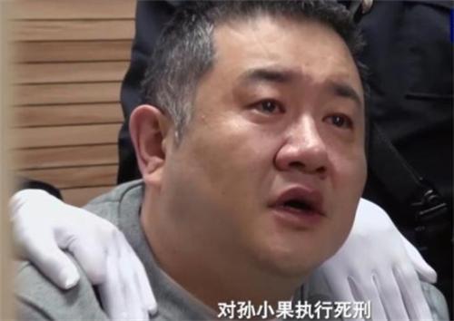 孙小果罪行，深入解析与反思