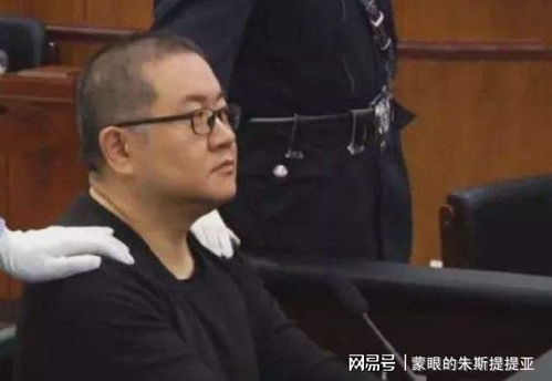 孙小果罪行，深入解析与反思