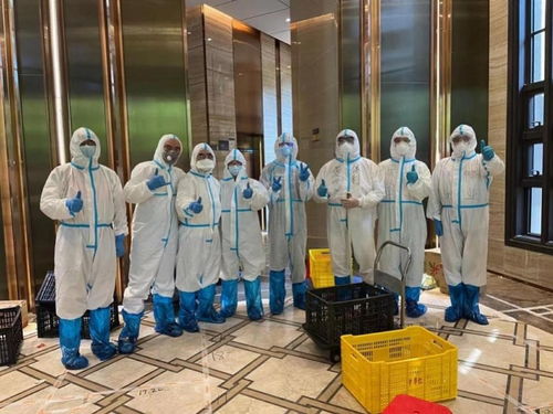 疫情新趋势，专家预测感染峰值预计时间与应对策略