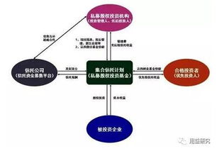 私募股权信托，投资新趋势与风险管理指南