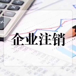 深圳个体户注销，流程、注意事项与实用指南