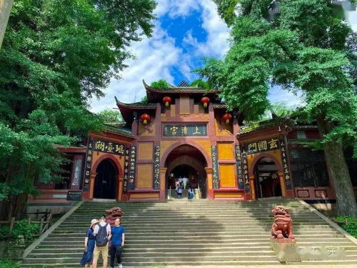 上海疫情新动态，两个区域升级为中风险，市民生活与防控措施全解析