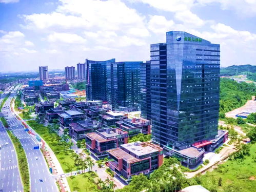 福建省经贸委，推动区域经济发展的桥梁