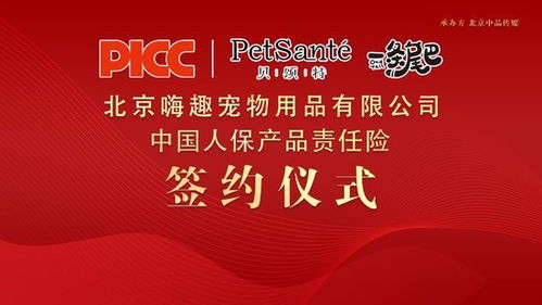 未来保障新篇章，养老保险新规定，为您的退休生活保驾护航