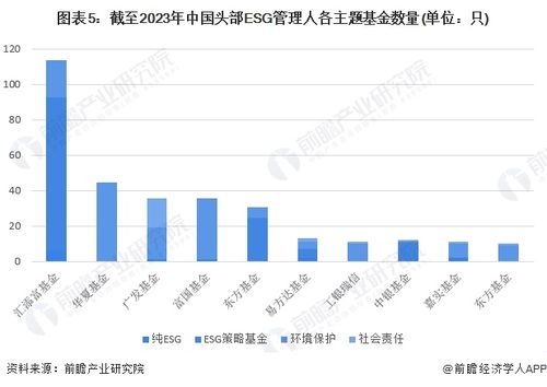 投资指南，现在买什么基金？深度解析2024年基金市场趋势与选择策略