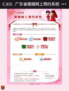 深入了解婚姻登记处的上班时间，为你的大日子做好准备