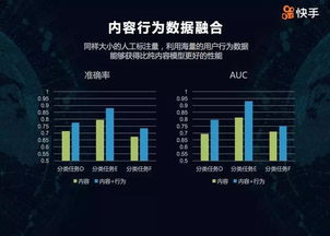 探索特别收益金，理解、应用与未来展望