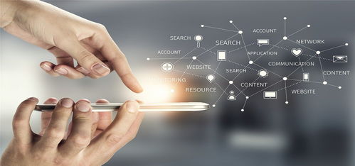 探索特别收益金，理解、应用与未来展望