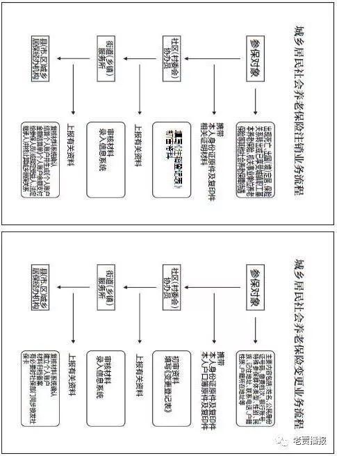 全面解析，城乡居民养老保险制度及其重要性
