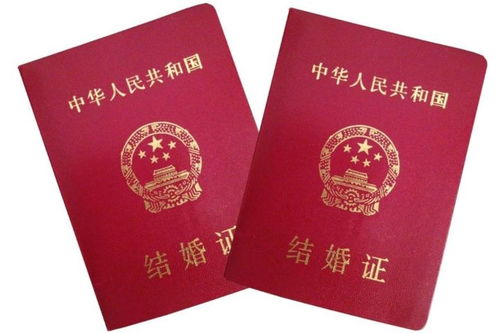 走进民政局婚姻登记处，了解婚姻登记的流程与意义
