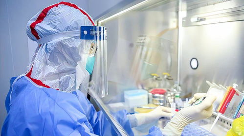 西安疫情最新动态，数据解读与防控措施