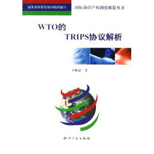 深入解析，TRIPS协议如何塑造全球知识产权格局