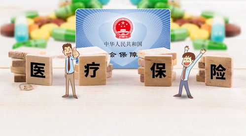 上海社保局，市民福利的守护者，解读上海社保政策与服务