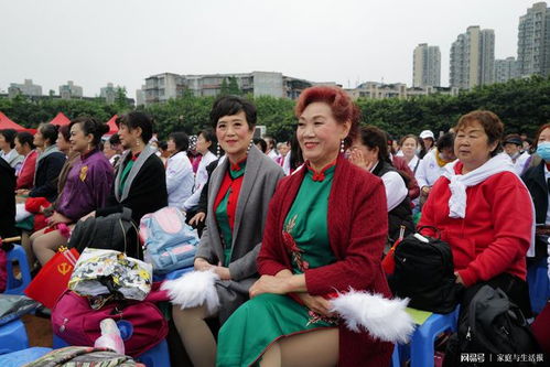 成都计生委，守护家庭幸福，构筑健康未来