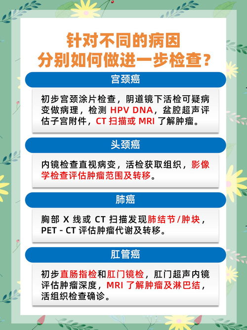 长春疫情现状，了解、预防与应对策略