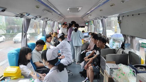 守护生命的安全网，了解人身保险的奥秘