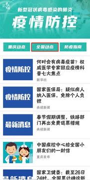 上海疫情小区查询，实时更新与防控指南