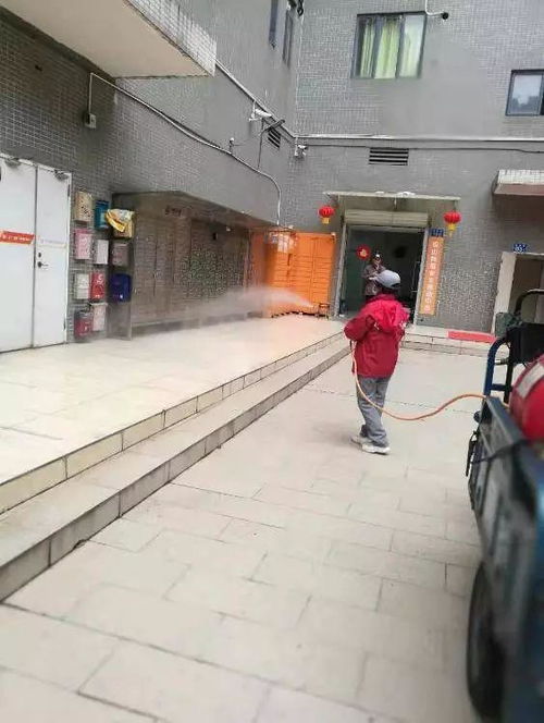 山东战疫新动态，新增本土确诊病例1例，我们如何共同守护健康家园？