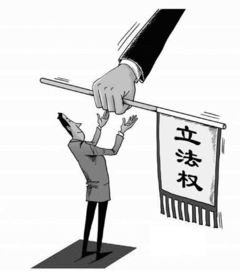 立法权，国家心脏的跳动