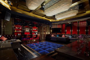 探索深圳龙岗，休闲会所的现代魅力与文化体验