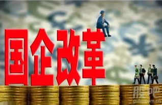 揭秘借壳上市，资本市场的变形术