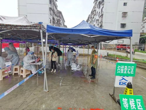 湖南张家界疫情新动态，新增本土确诊7例的应对与防控措施