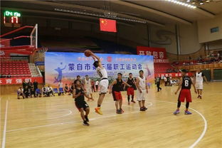 奥运会，全球体育盛会的璀璨时刻