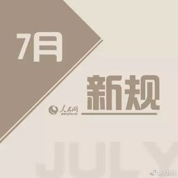 照亮你的品牌之路，11类商标明细全解析