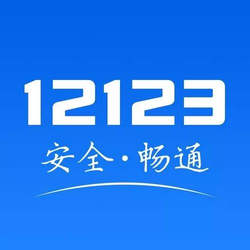 南京交管曝光查询，守护安全，透明出行