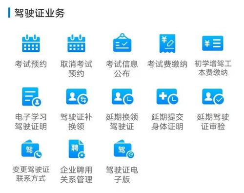 南京交管曝光查询，守护安全，透明出行