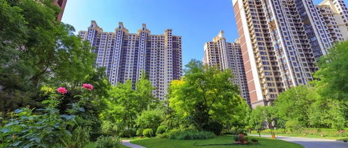 揭东二手房市场，投资与居住的双重视角