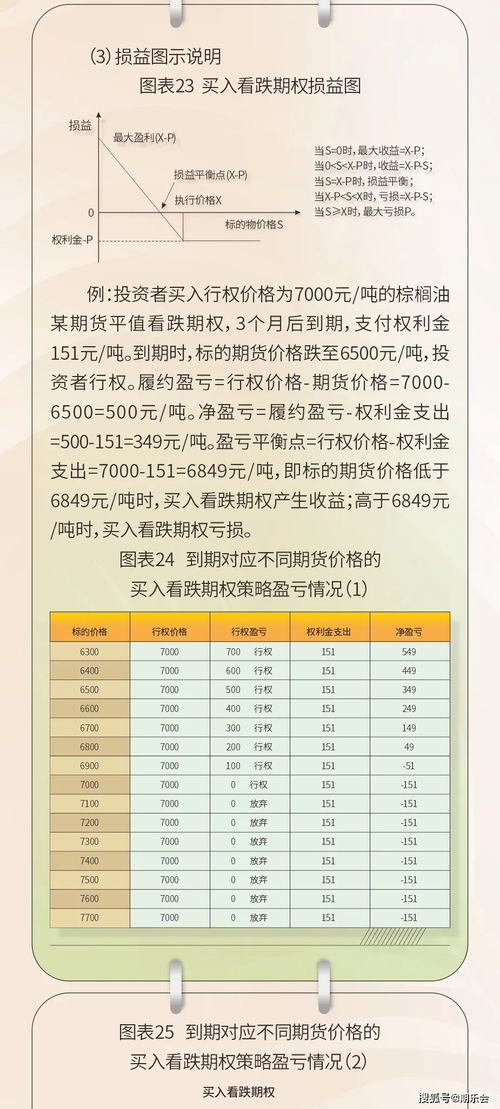 如何轻松查询国家专利号，一份详尽的指南
