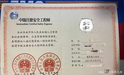 深入了解危化品使用许可证，安全合规的必经之路